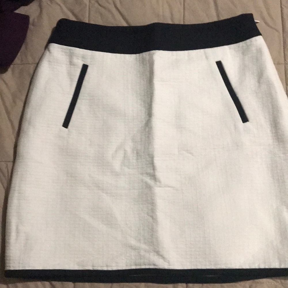 Ann Taylor skirt